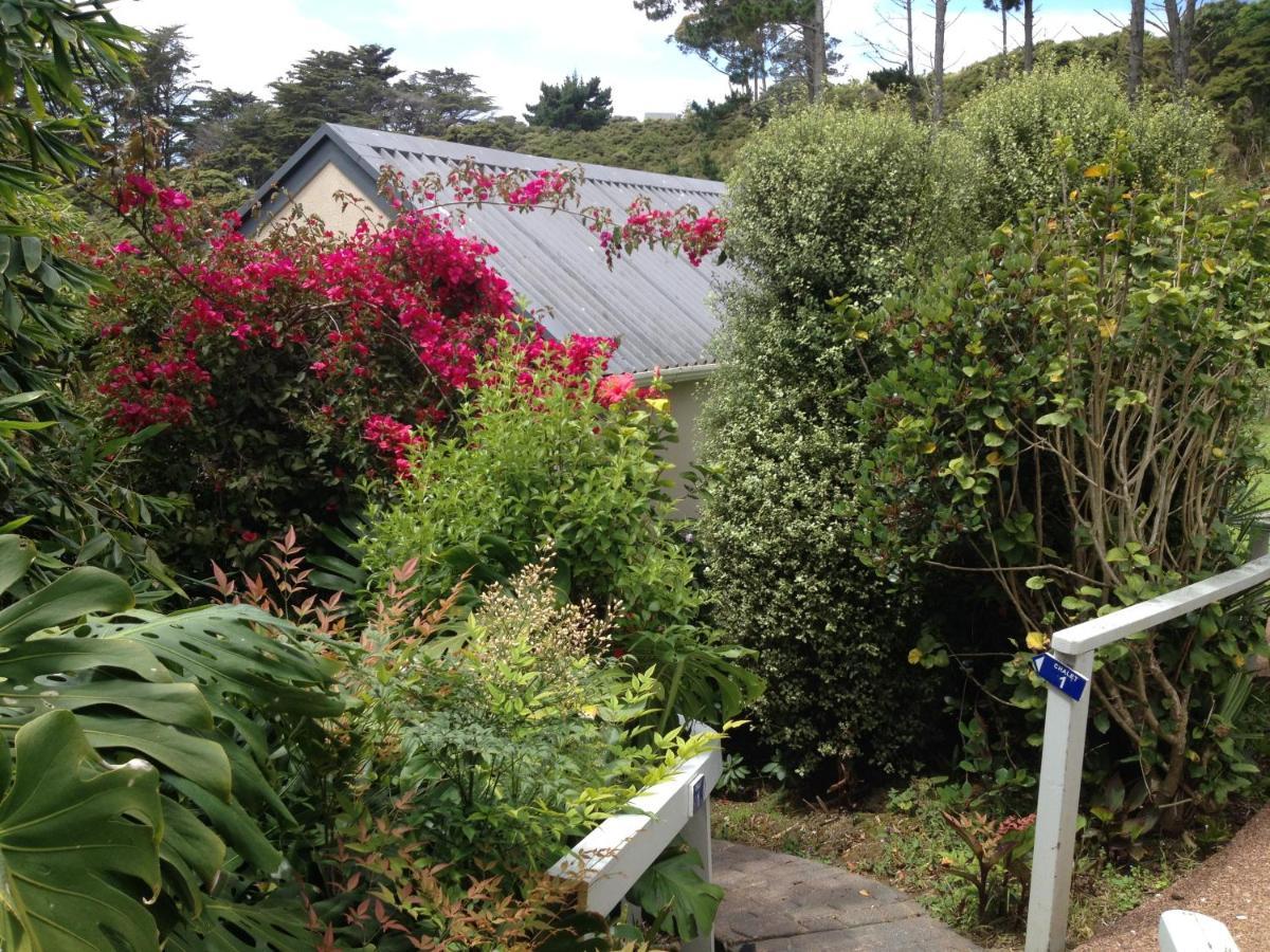 Supacute Character Cottage, Wifi, Sky Tv, Spa Bath, Spa Bath, Dble Kayak And Possibly A Car! Palm Beach Eksteriør billede