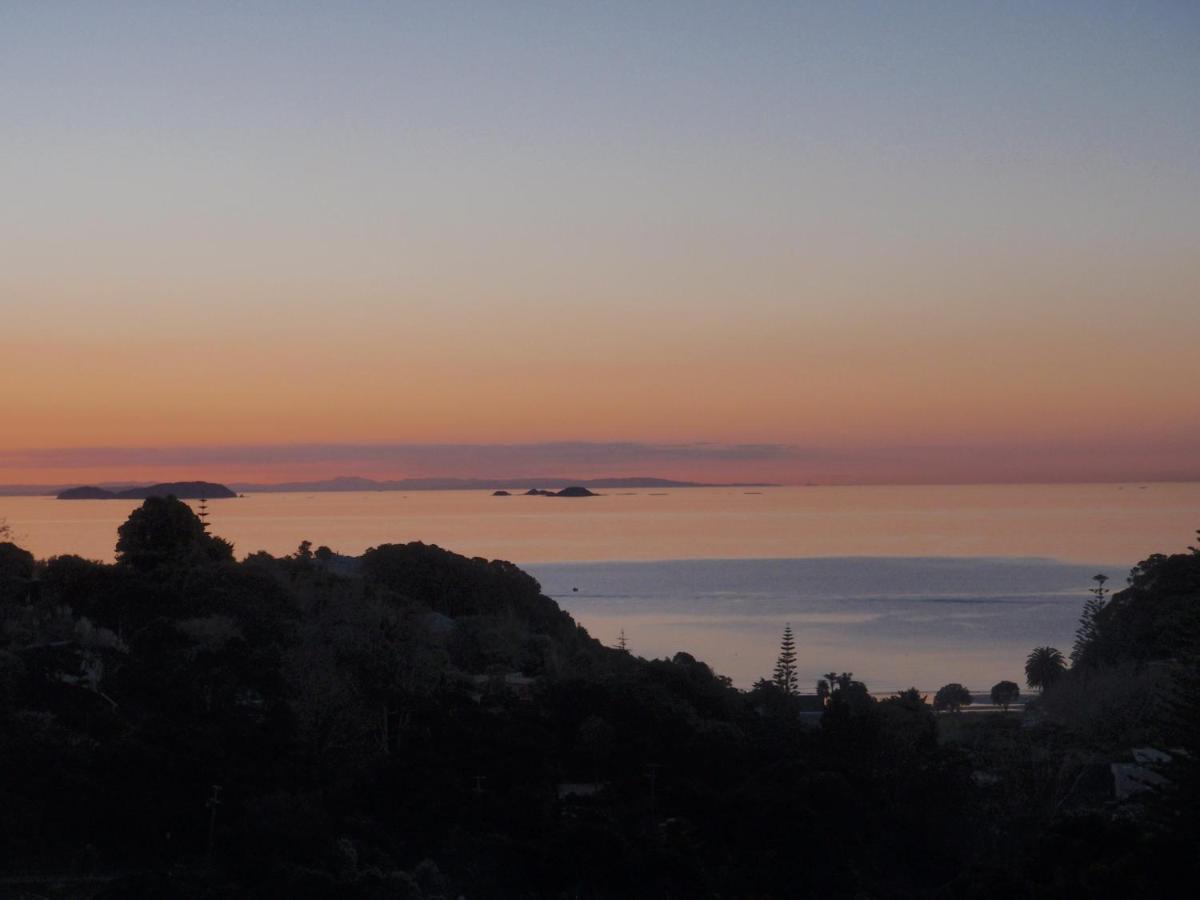 Supacute Character Cottage, Wifi, Sky Tv, Spa Bath, Spa Bath, Dble Kayak And Possibly A Car! Palm Beach Eksteriør billede